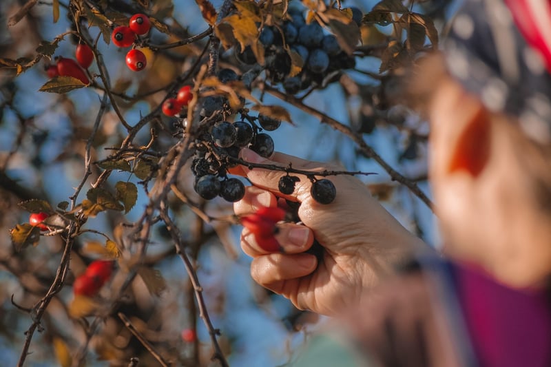 Collective Harvesting