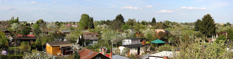 Urban Allotments