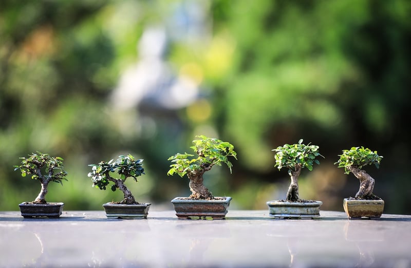 Collaborative Gardening